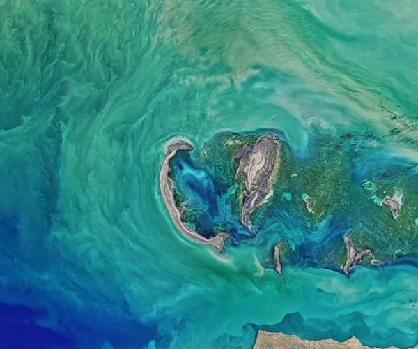 Blue Planet